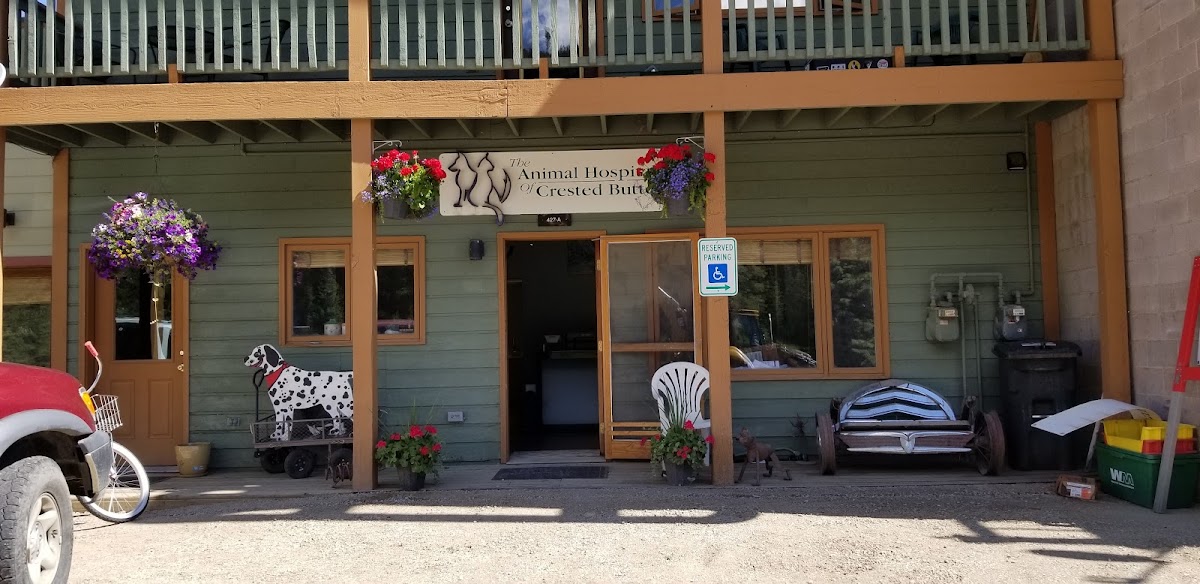 Animal Hospital-Crested Butte
