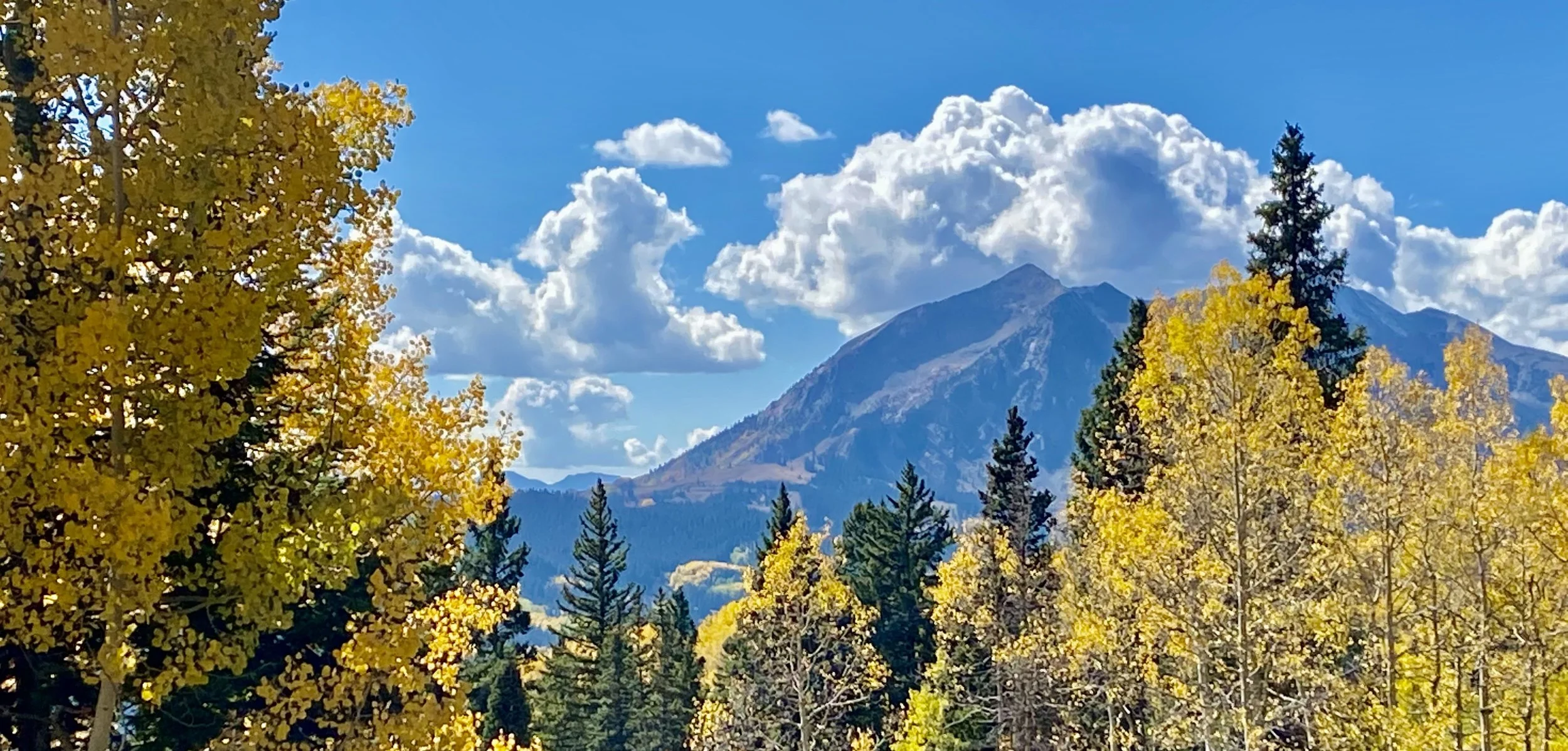 Colorado Real Soap Company