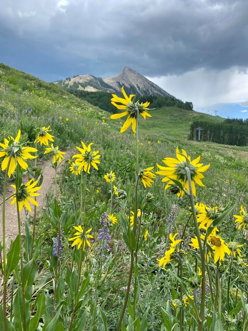 Crystal Peak Properties – Kelsey Loftis Broker