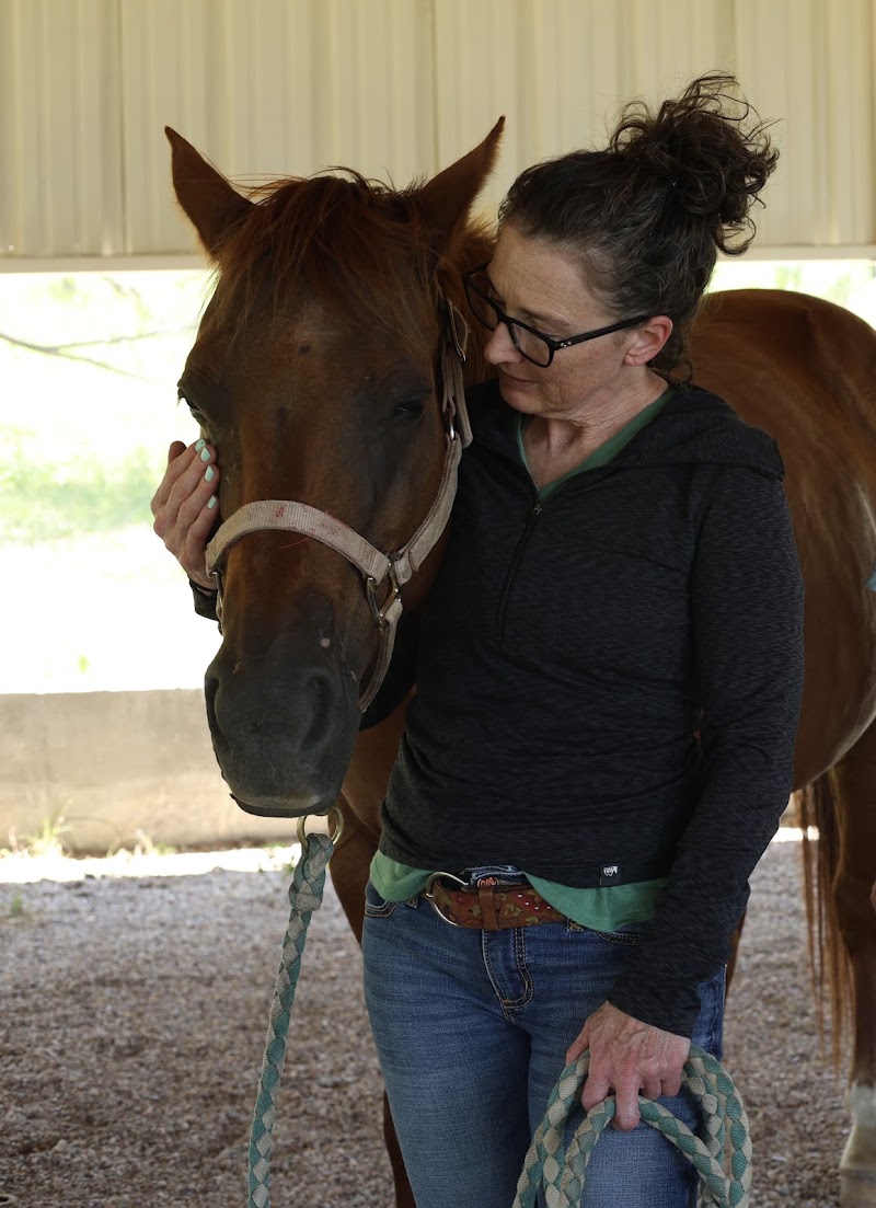 Healing Springs Veterinary Care
