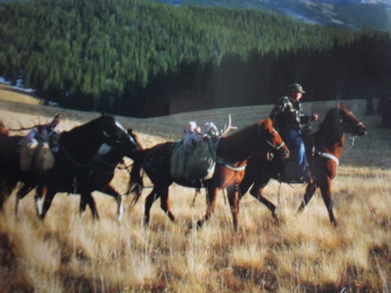Quaking Aspen Outfitters