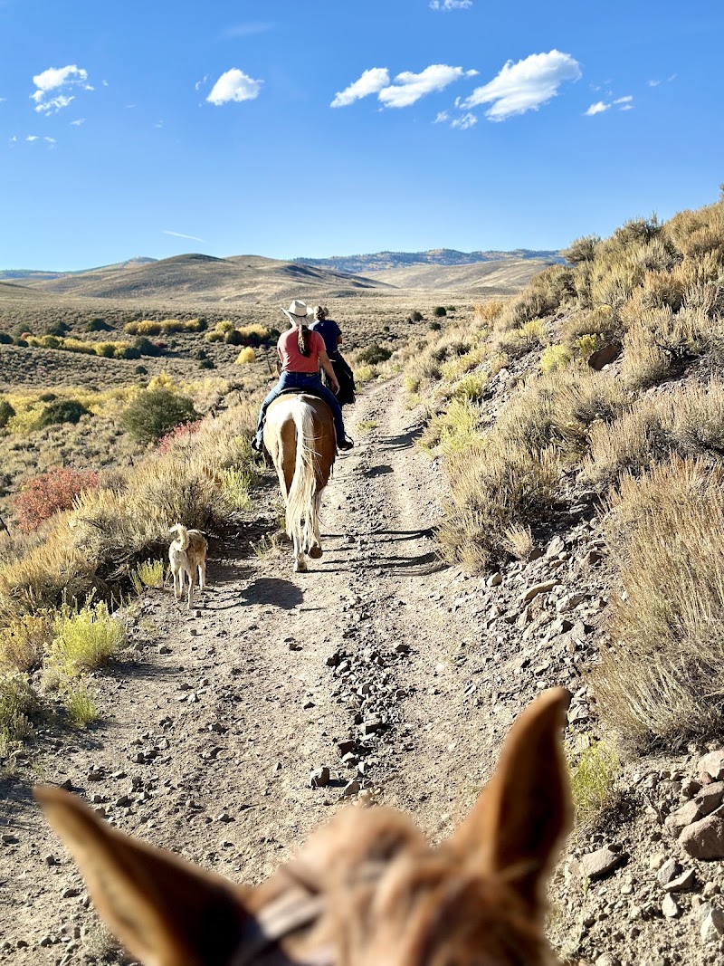 Raven Rider Stables