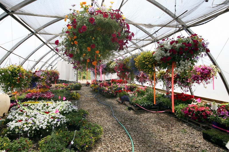 Rocky Mountain Trees & Landscaping Inc