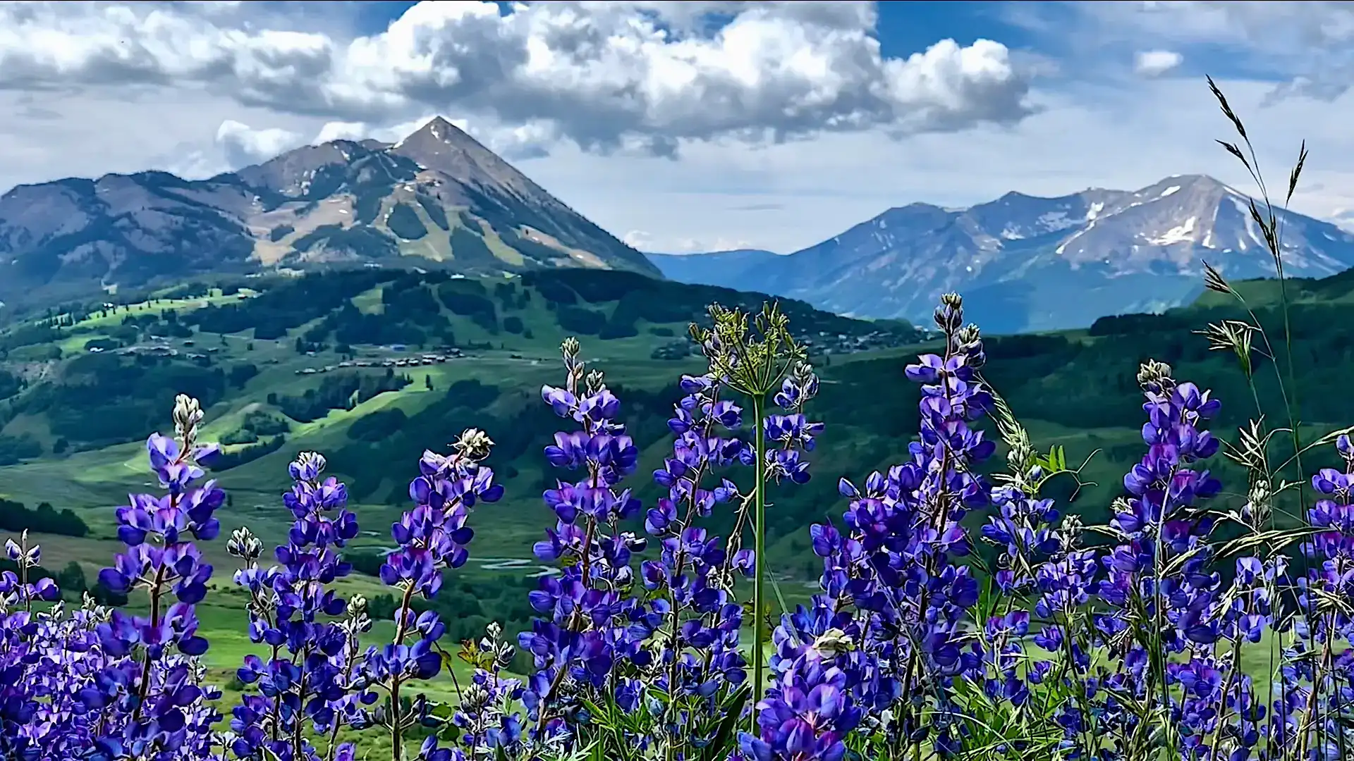 Travel Crested Butte LLC